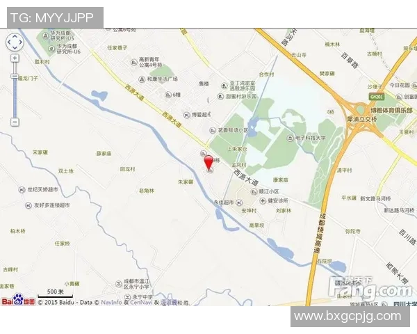 成都网球队实力深度解析与对比分析